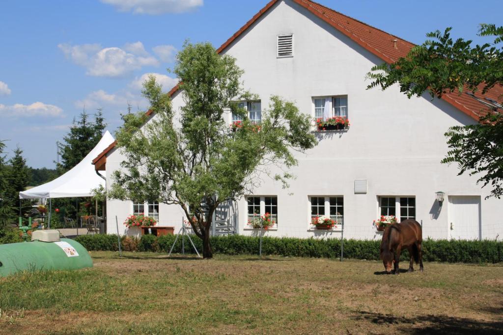 Hotel-Pension Am Muehlberg ลืบเบอเนา ห้อง รูปภาพ